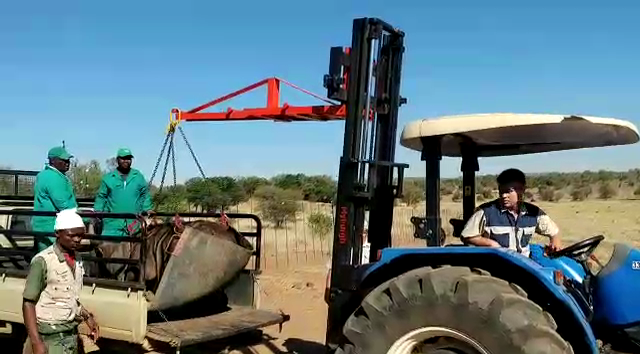 Wildlaaier vir Forklift